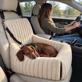 Beige Walkiies Bed: a harnessed dachshund resting on a car passenger seat.