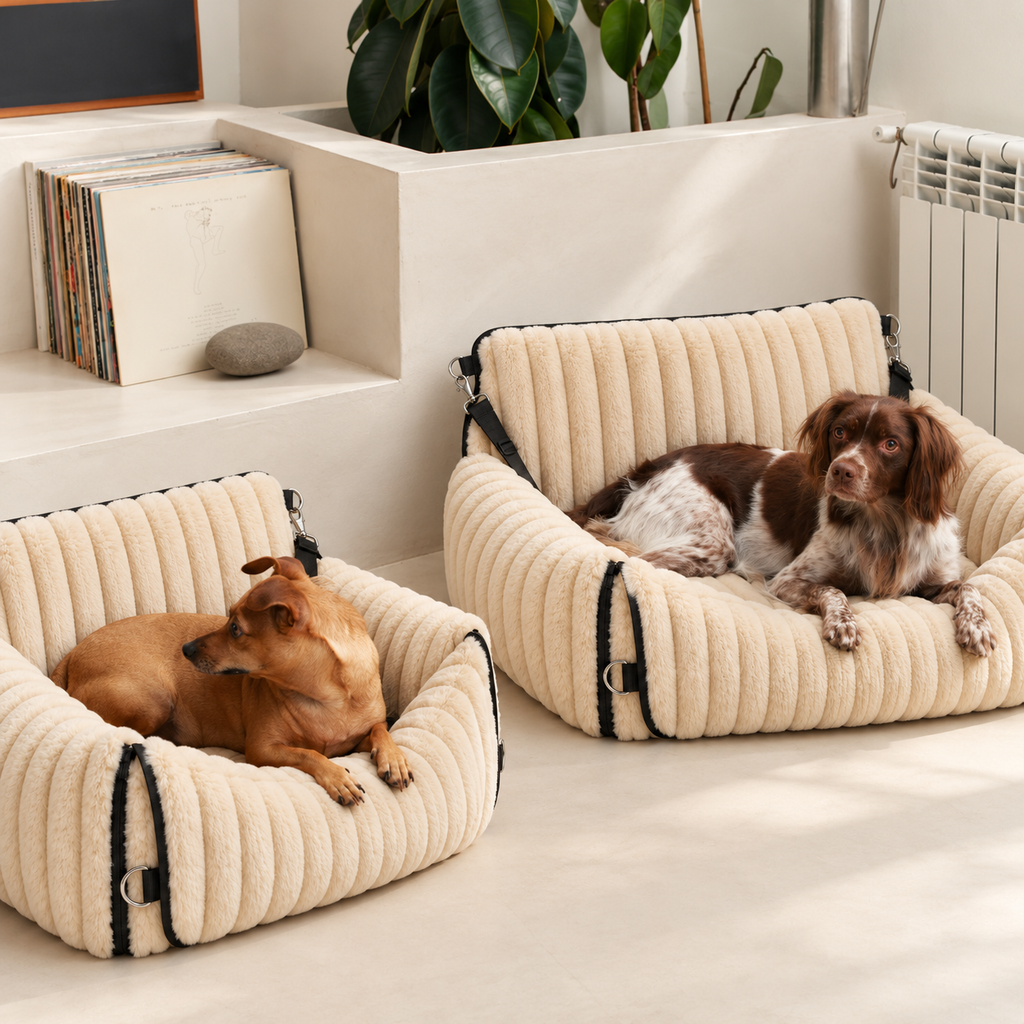 Beige Walkiies Bed: two dogs resting in separate beds indoors.