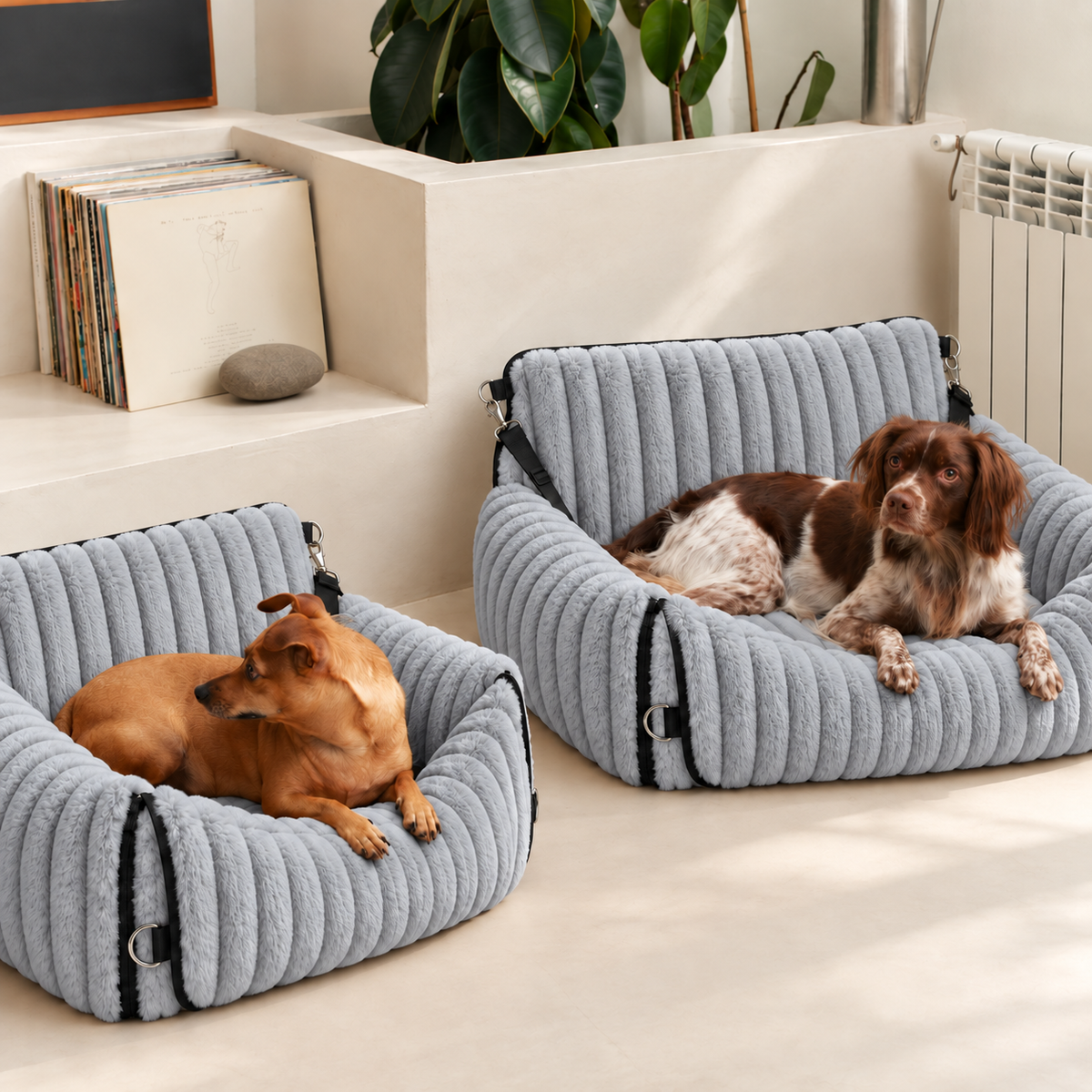 Grey Walkiies Bed: two dogs resting in separate beds indoors.